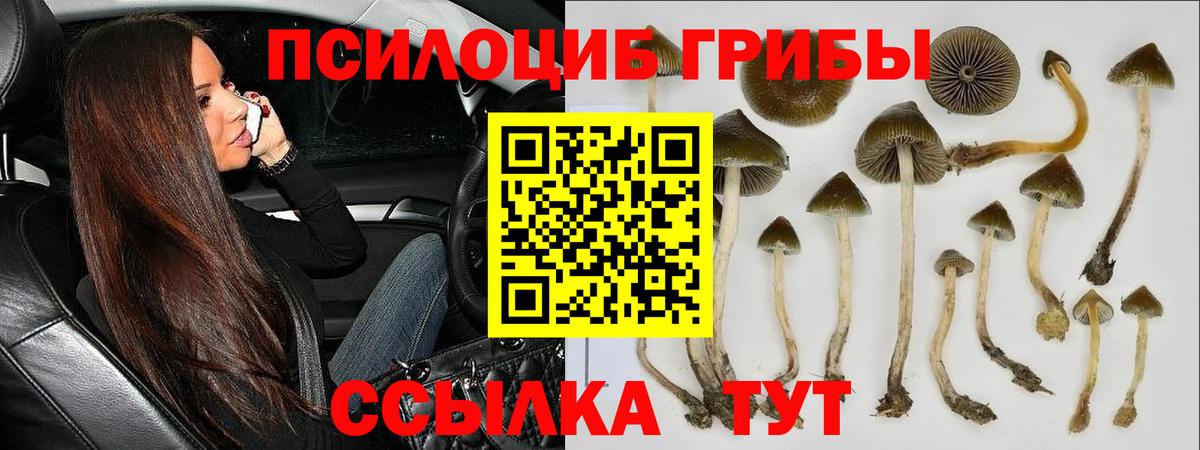 Псилоцибиновые грибы ЛСД  Галлюциногенные грибы Psilocybine cubensis  Вход с VPN  купить наркотики цена  Мыски 