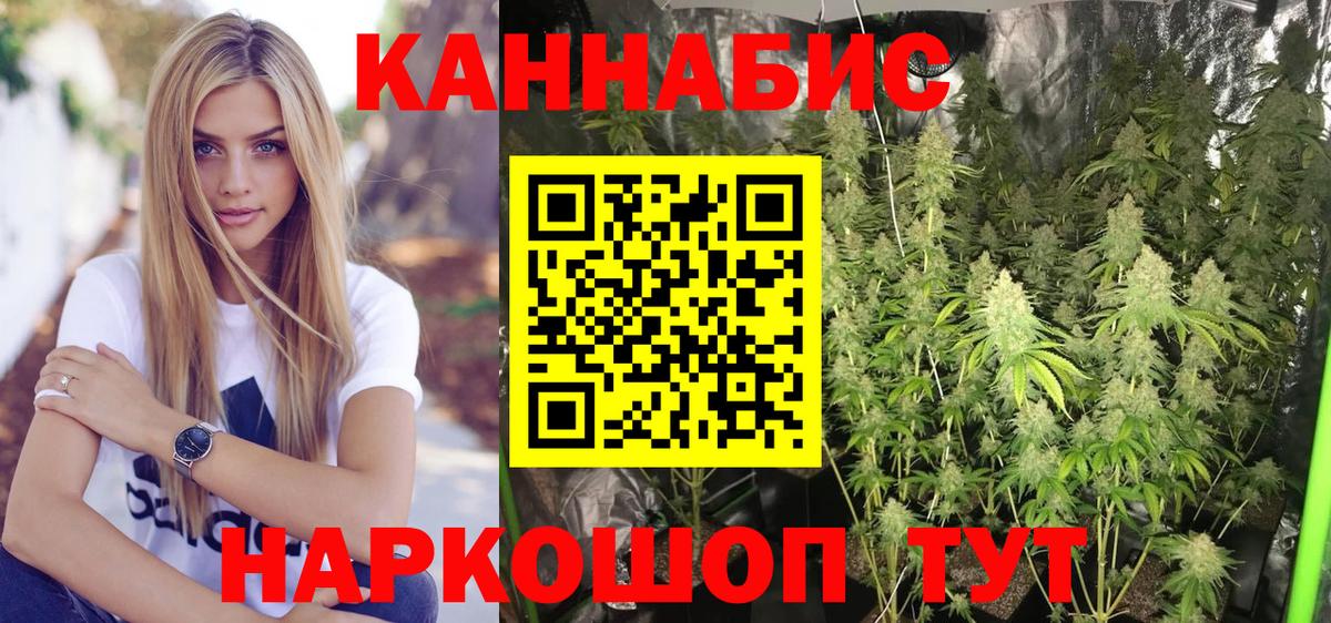 Бошки марихуана ГИДРОПОН Мыски