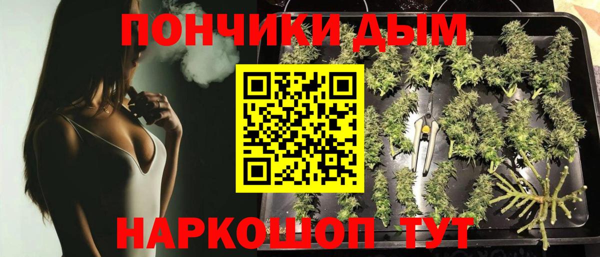 Бошки Шишки Bruce Banner  Вход с VPN  Мыски  Бошки марихуана сатива  Бошки Шишки Bruce Banner  Бошки марихуана THC 21% 